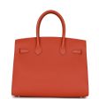 Hermes Birkin 30 Sellier Terre Battue Epsom Palladium Hardware Online now