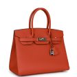 Hermes Birkin 30 Sellier Terre Battue Epsom Palladium Hardware Online now