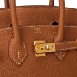 Hermes Birkin 25 Gold Togo Gold Hardware Fashion