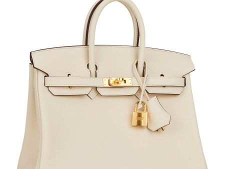 Hermes Birkin 25 Nata Swift Gold Hardware Fashion