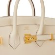 Hermes Birkin 25 Nata Swift Gold Hardware Fashion